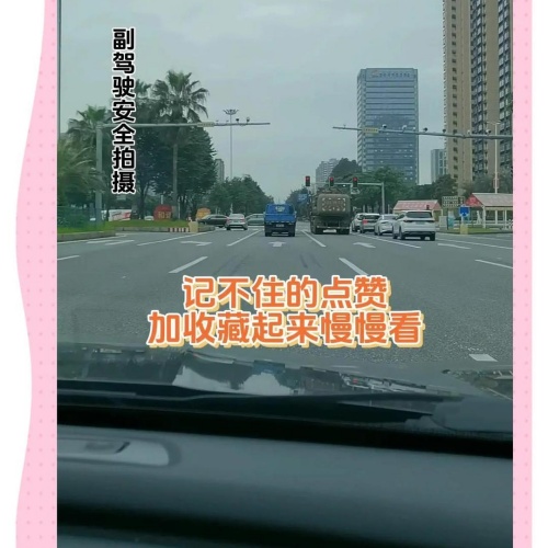 黑煙車抓拍攝像頭 (12).jpeg